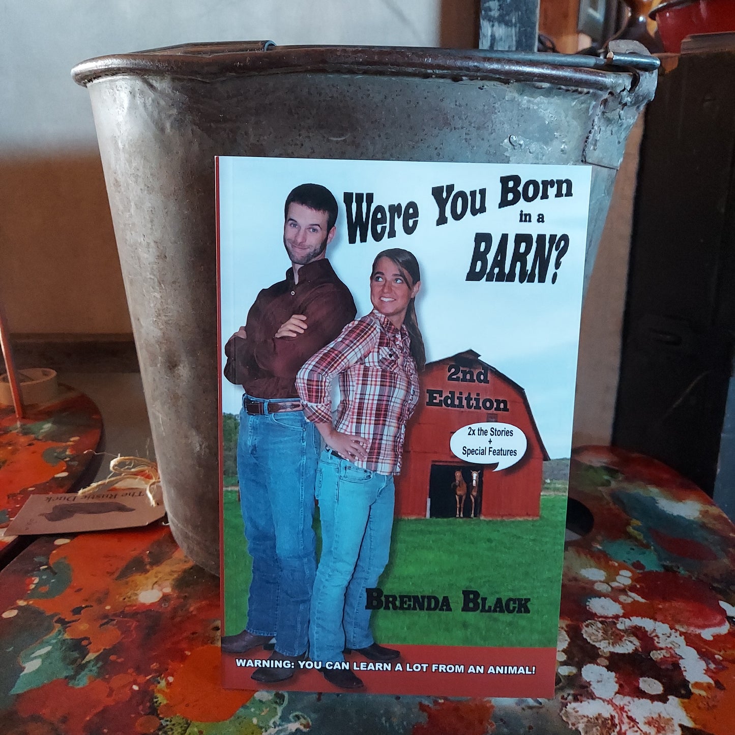 We're You Born in Barn?