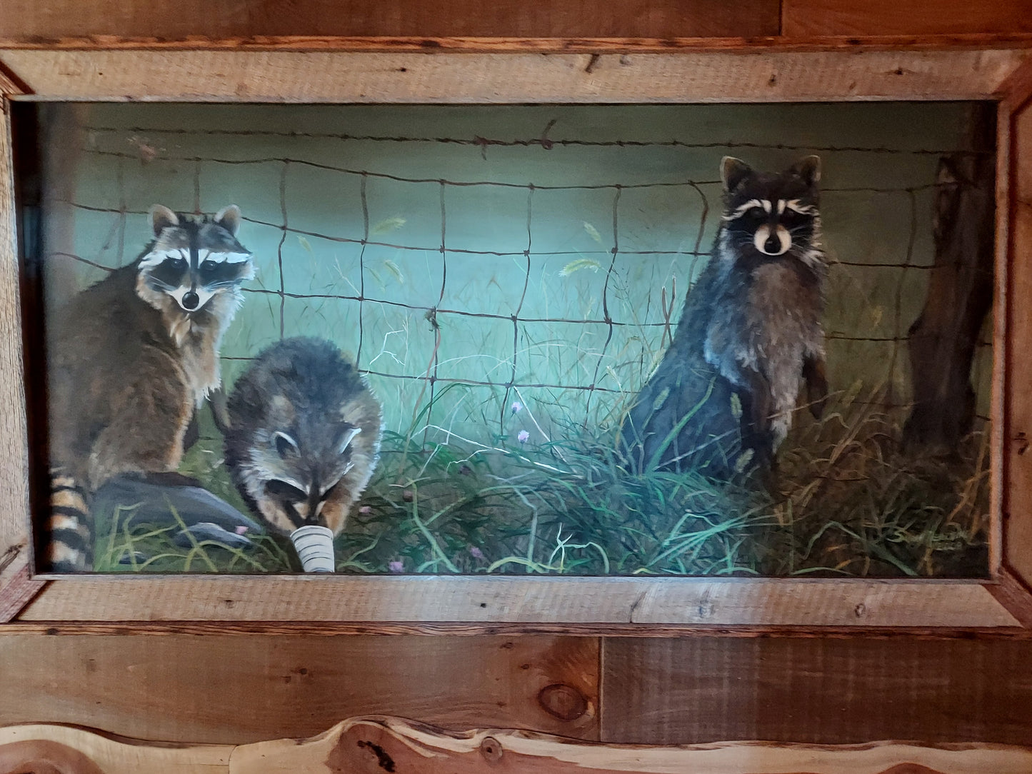 Coons crossing the line