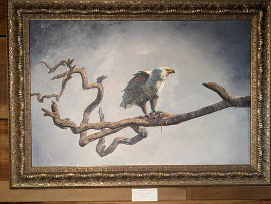 African Fish Eagle