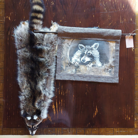 Raccoon pelt with coon painting