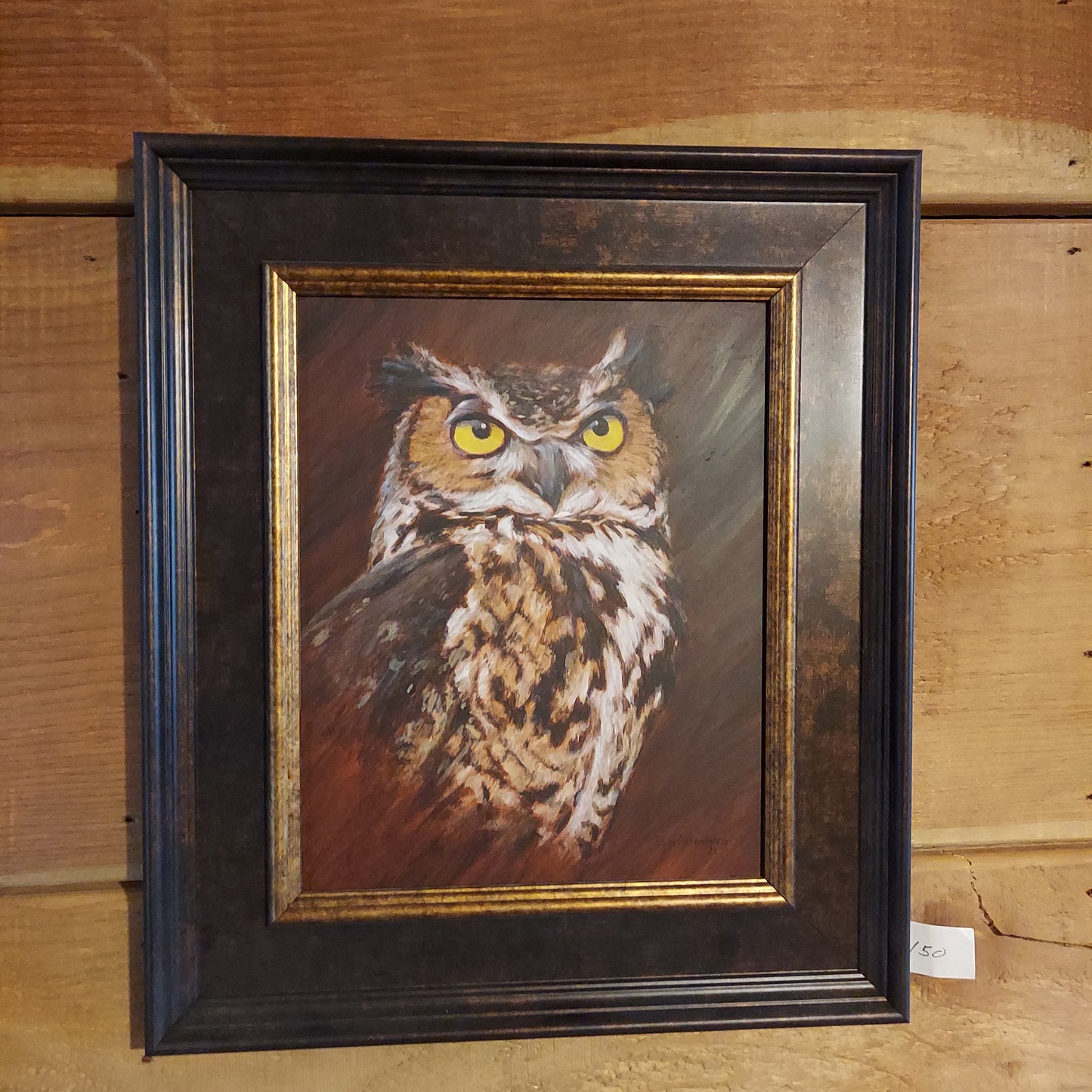 Great Horned Owl