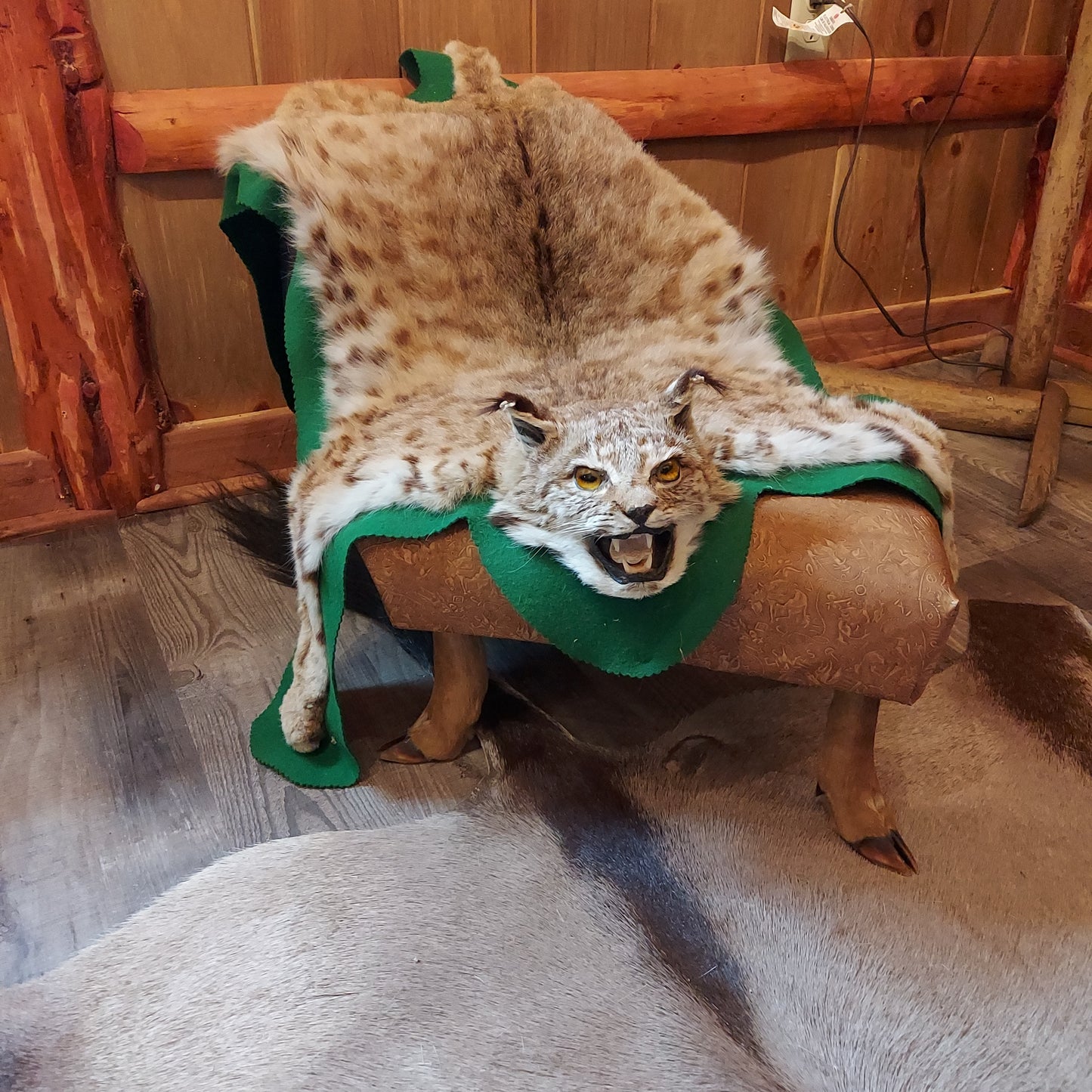 Authentic Bobcat Rug