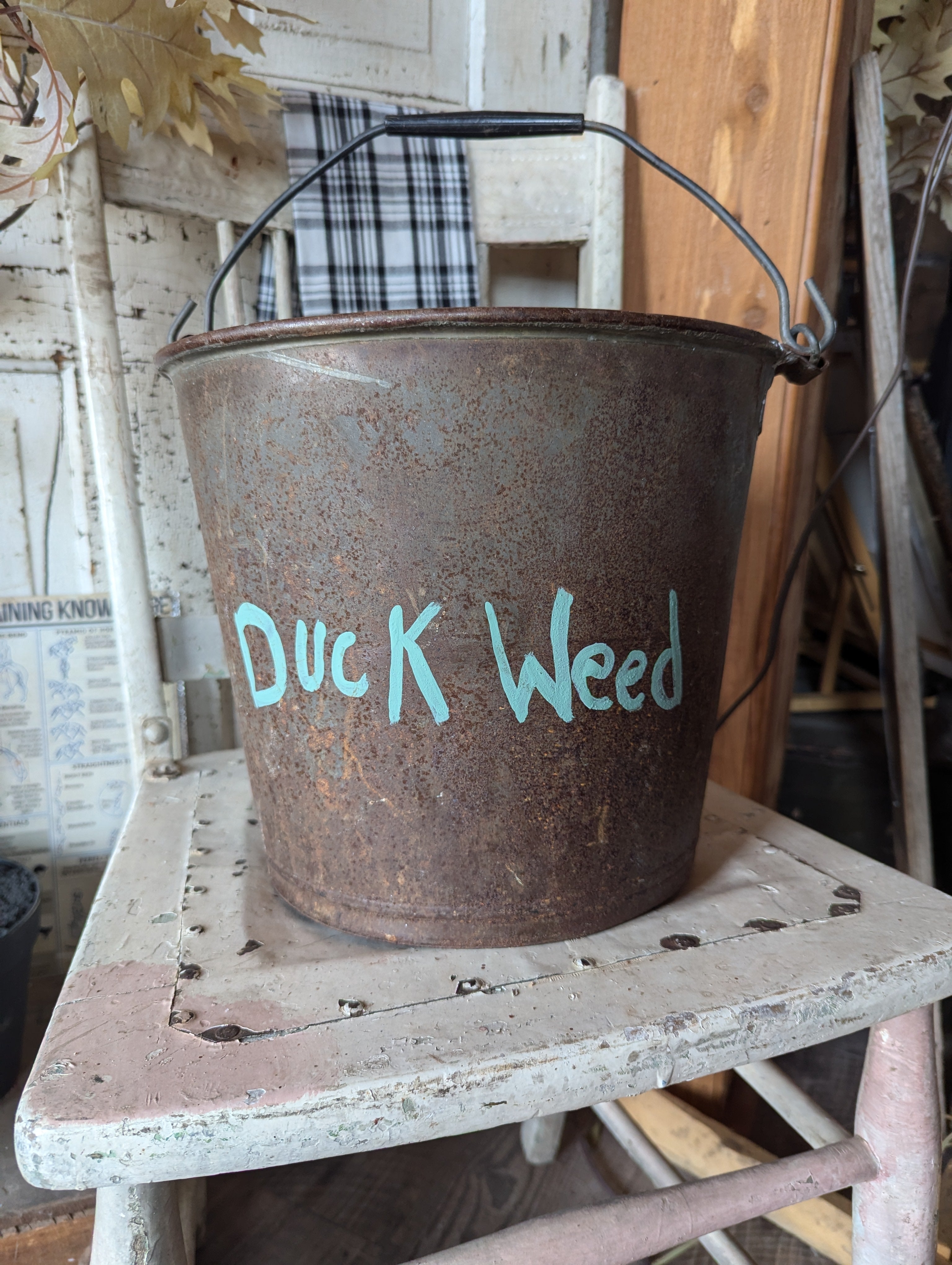 Duck Weed Bucket – Rustic Duck Lake Art